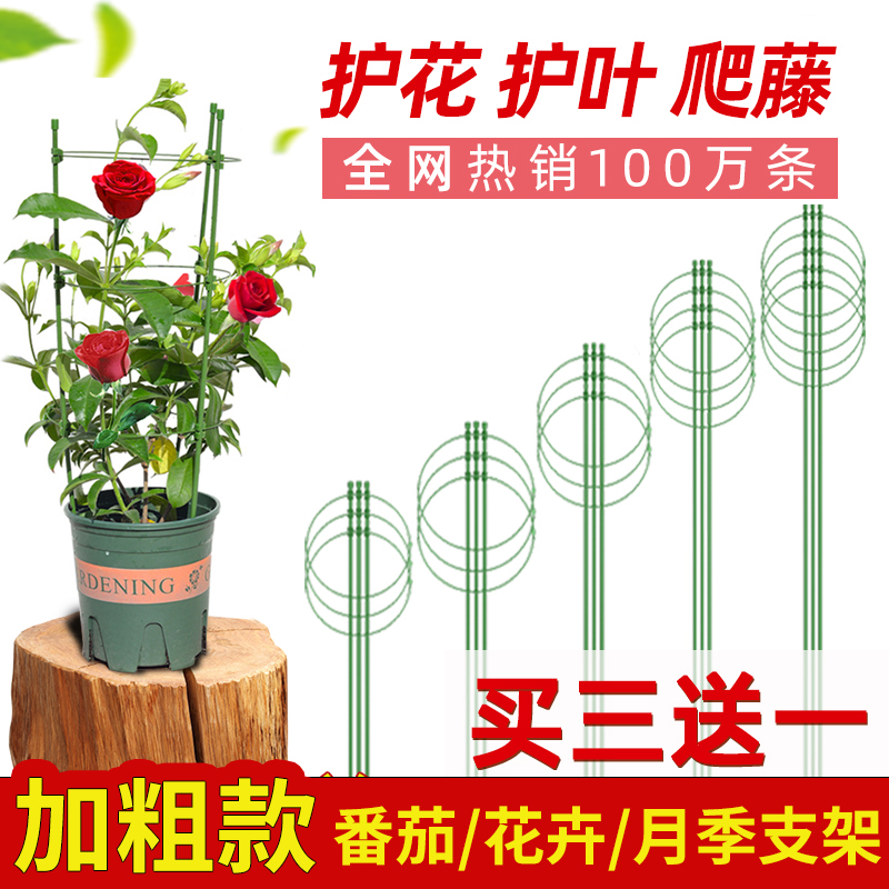 爬藤花架园艺支柱架阳台绿萝月季铁线莲藤本植物攀爬蟹爪兰支撑杆