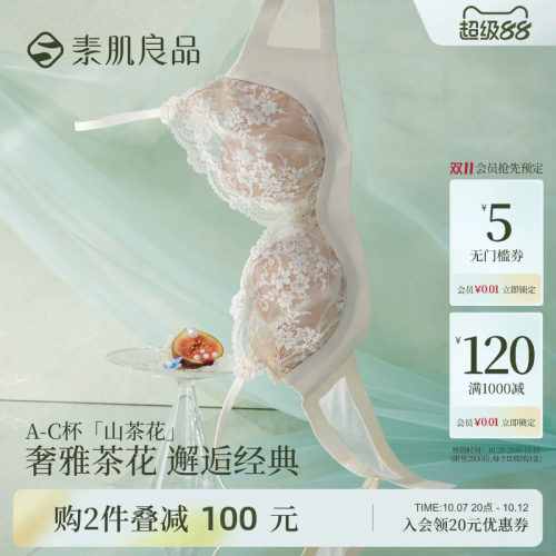 性感深V蕾丝小胸聚拢文胸套装