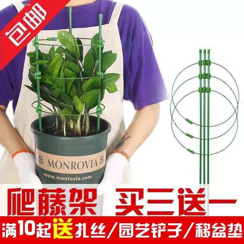 包塑铁管花支架园艺阳台盆栽爬藤架蔬菜植物支撑杆黄瓜番茄攀爬架