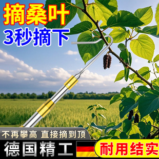 摘桑叶神器摘香椿榆钱春芽红花专用钩子摘荔枝樱桃芒果伸缩杆工具