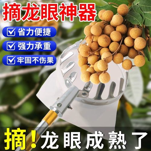 摘龙眼神器高空采摘水果伸缩杆加厚15米果树高枝20米剪刀网兜工具
