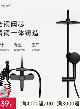 diiib厦门大白净朗淋浴花洒套装家用明装自洁除垢简易浴室淋浴器