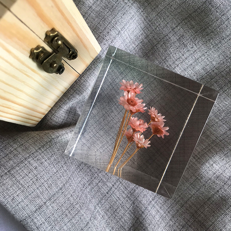 蒲公英玫瑰雏菊小星花千日红鲜花永生花标本非sola立方体植物立方 蜗牛礼品舍 淘优券