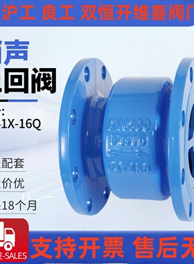 上海沪工阀门良工中核苏阀HC41X-16Q铜芯水泵单向逆止消声止回阀