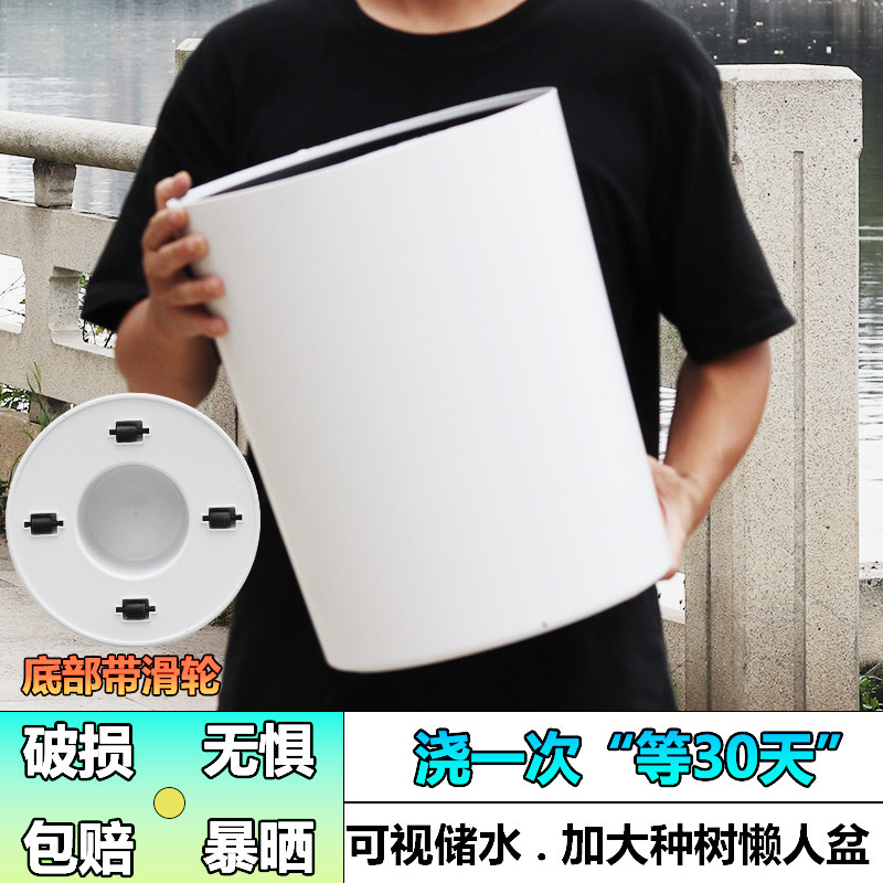 大口径懒人种树盆一个月浇水一次