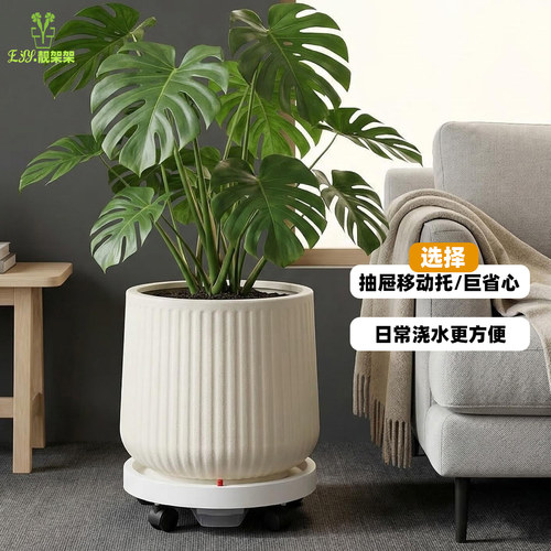 北欧风简约塑料特大口径花盆