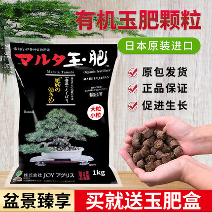 日本进口玉肥盆景专用肥料松柏肥料盒颗粒缓释肥通用肥绿植养花肥