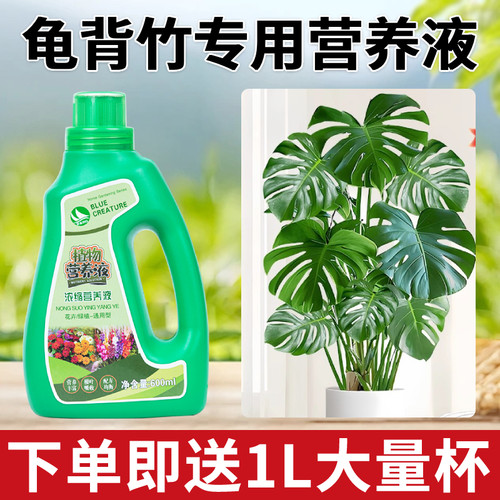 龟背竹肥料专用营养液
