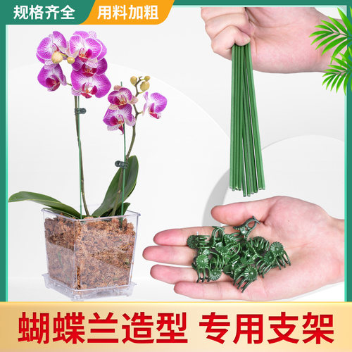 蝴蝶兰花支架专用园艺兰花夹