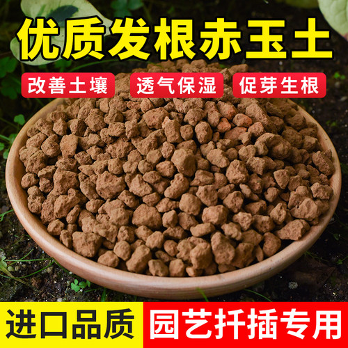 日本进口赤玉土真空包装不踩雷