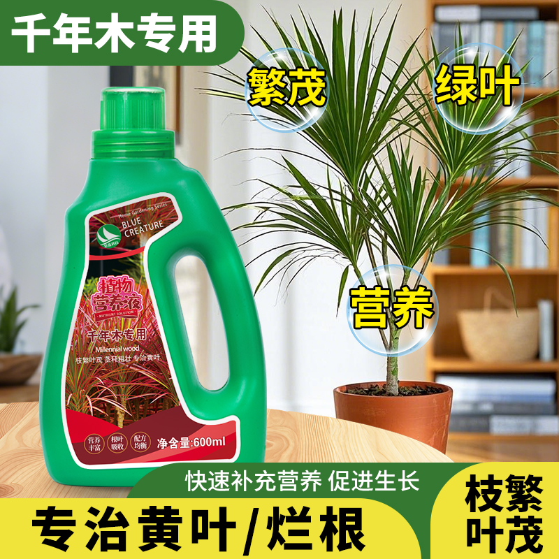 千年木专用肥料专用营养液千年木促根水溶肥料七彩铁马尾铁有机肥