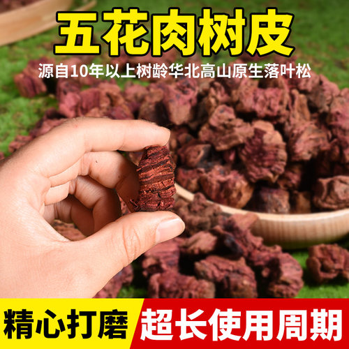 松树皮发酵腐熟树皮颗粒松鳞植料君子兰蝴蝶兰专用兰花土营养土