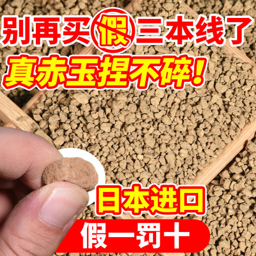 日本进口三本线赤玉土颗粒