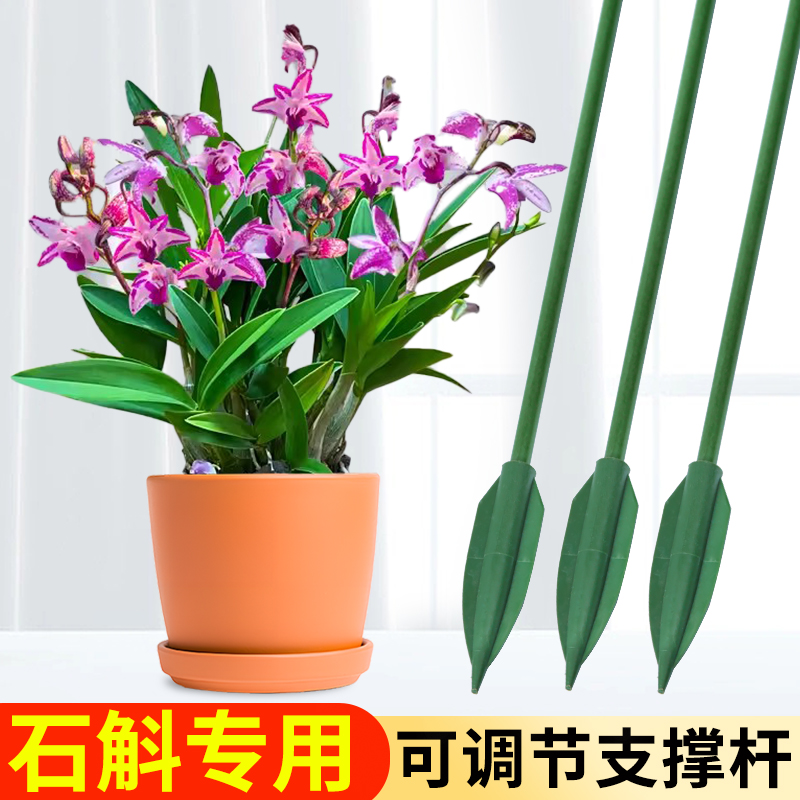 园艺支撑杆石斛兰花专用