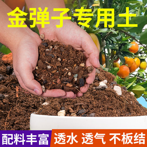 金弹子专用营养土