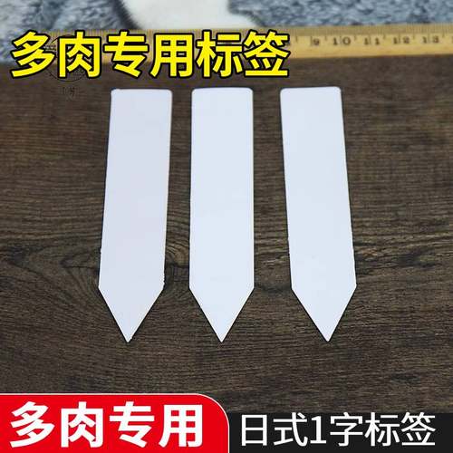 一字型标签包邮多肉植物塑