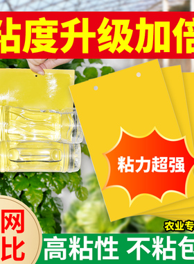 粘虫板黄板包邮双面诱虫板蓝板小黑飞粘飞虫纸农用大棚蓟马沾虫板