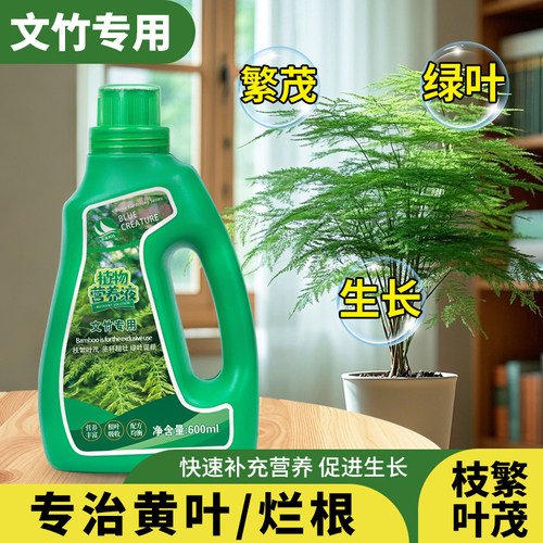 文竹专用营养液催芽爆芽促生长