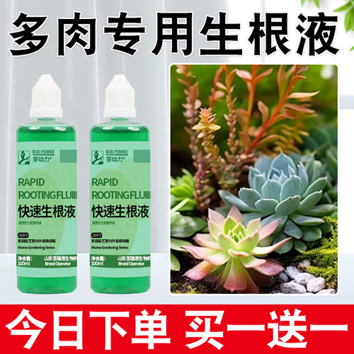 快速生根液扦插移栽花卉树