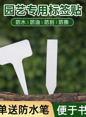 园艺专用T字型标签一字型标签