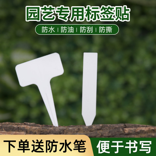 园艺专用T字型标签一字型标签