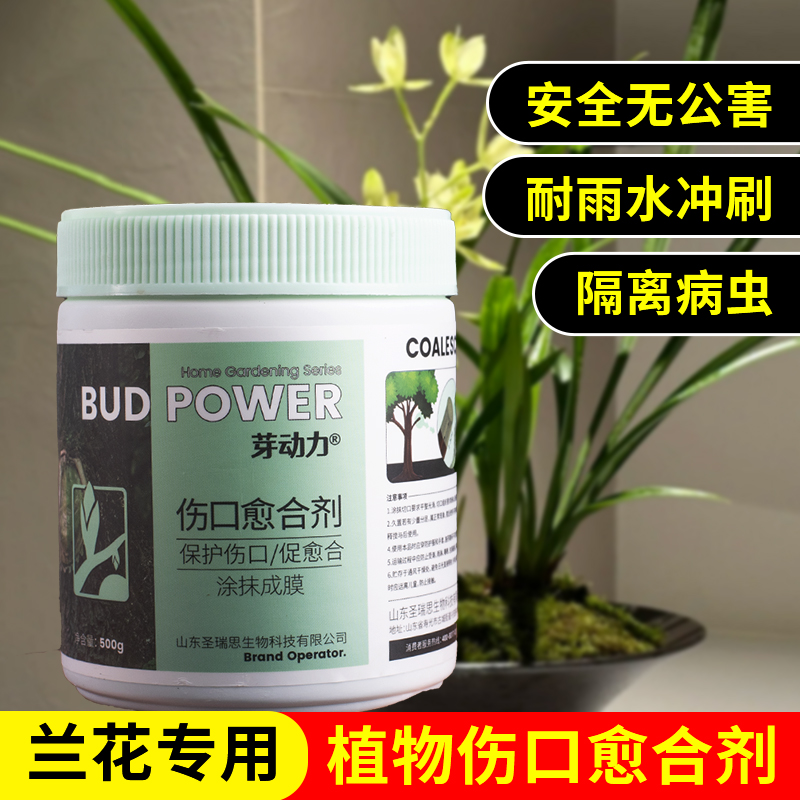 兰花专用植物树木伤口愈合剂盆景