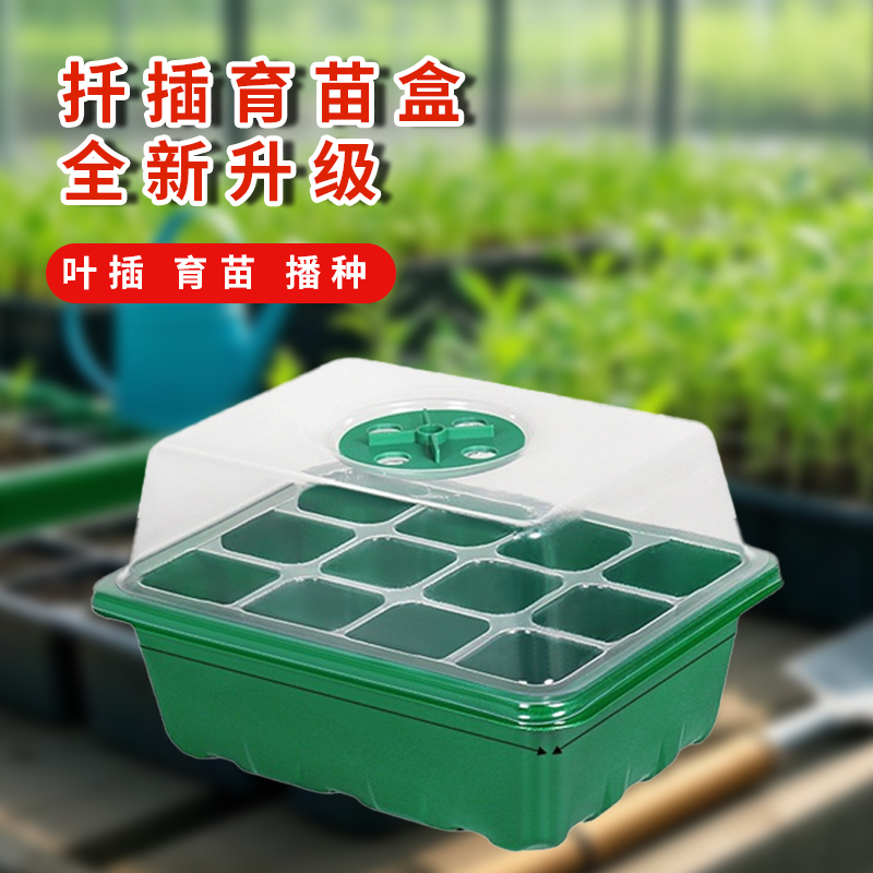 育苗穴盘育苗神器培养播种盒保湿温育苗盘穴盘育苗盒培养保温多肉
