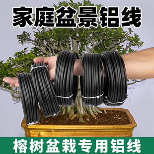 榕树盆景造型专用铝丝铝线蟠扎定型绑花盆栽园艺铝条花艺制作