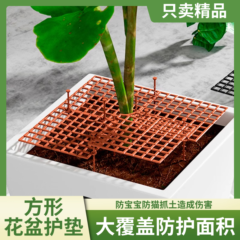 花盆植物保护罩防猫抓土网
