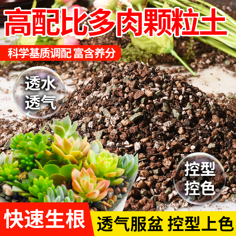 多肉专用颗粒土十二卷种植玉露九尾狐营养土盆栽阳台家用泥炭土壤