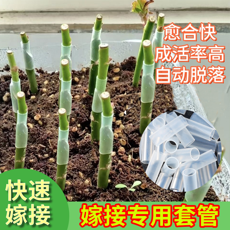 嫁接套管果树嫁接专用套管