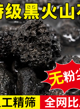 黑色天然火山石颗粒黑火山石拌土多肉铺面开鱼缸过滤底砂水族造景