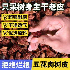 松树皮发酵腐熟树皮颗粒松鳞植料君子兰蝴蝶兰专用兰花土营养土