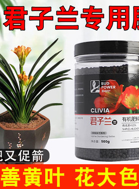 君子兰促箭专用肥料室内植