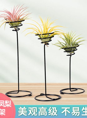 空气凤梨托架空气凤梨底座展示架空凤支架子悬挂支架空气凤梨支架