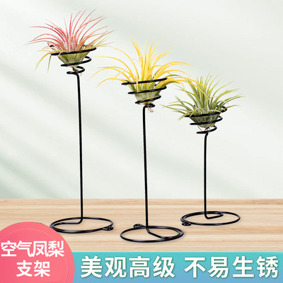 空气凤梨支架空气凤梨托架