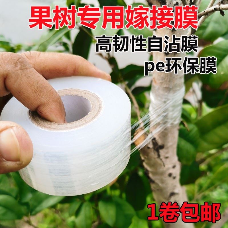 果树嫁接膜架接专用膜PE无需打结薄膜嫁接绑带果树苗木包扎带自粘