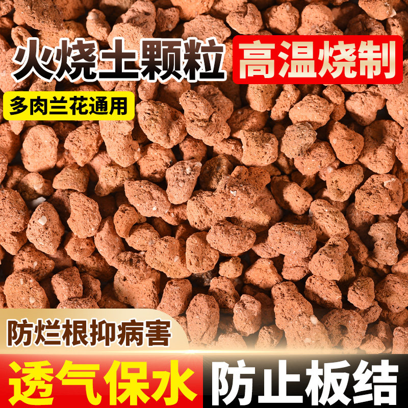 火烧土多肉兰花专用拌土铺面君子兰蝴蝶兰盆栽疏松透气红土颗粒