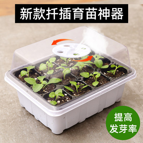 扦插育苗穴盘神器专用盆营