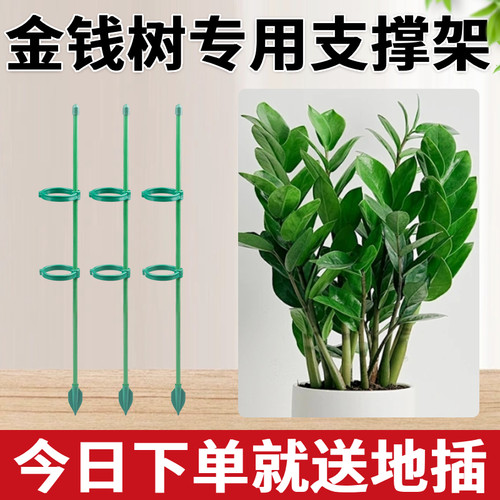【金钱树专用】支撑杆花支撑架