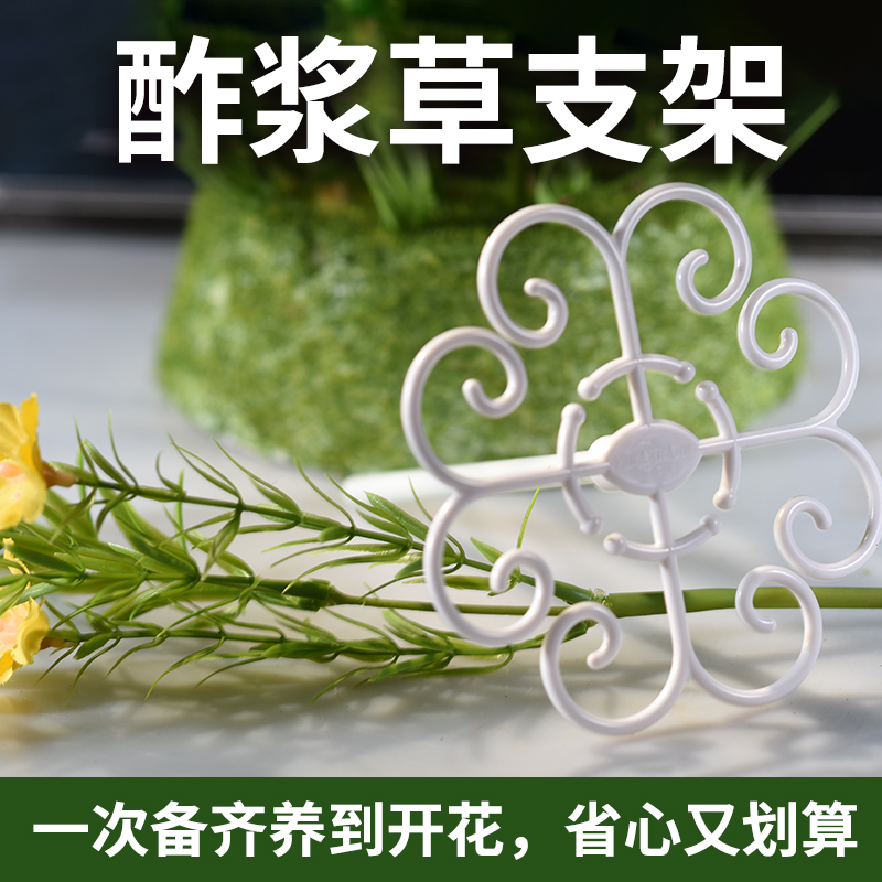 酢浆草专用固定防倒伏造型支架