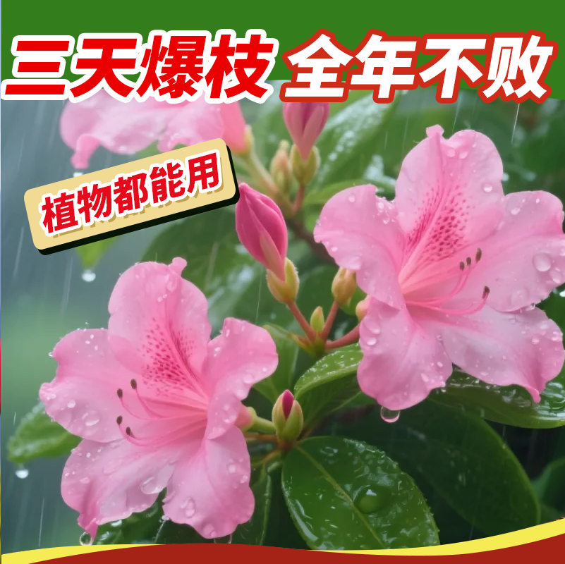 杜鹃花花卉专用速效开花素即喷型营养液促花催花养花爆花肥