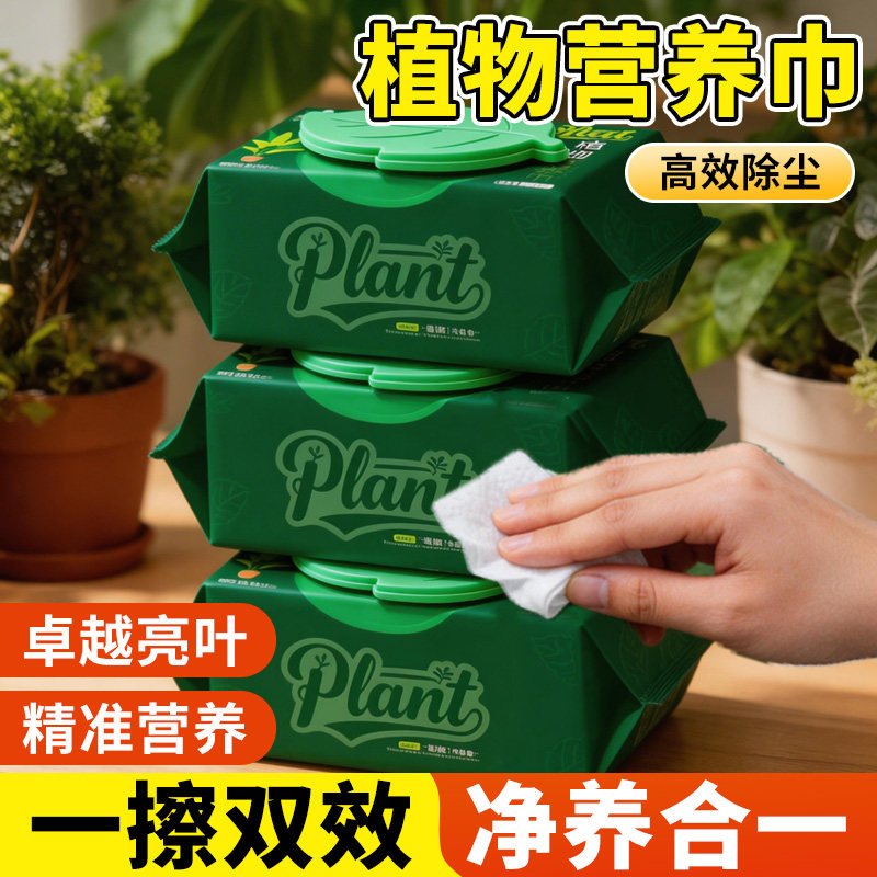 植物叶片清洁湿营养巾除尘剂除尘工具园艺工具营养液叶面清洁光亮