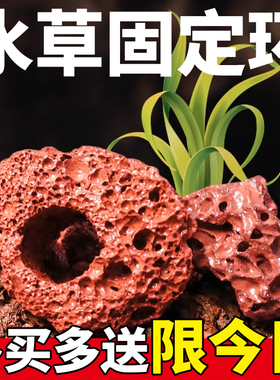 水草固定种植红色打孔火山石大块定植环鱼缸造景装饰底座钻孔