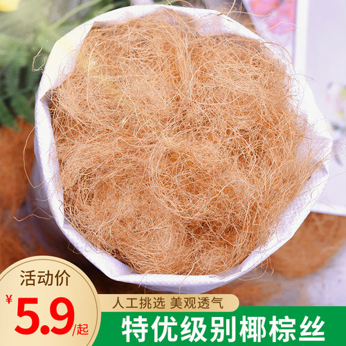 园艺椰丝铺面花盆填充