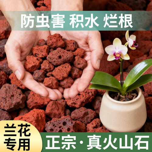 兰花专用火山石颗粒植料铺面石料拌土垫底养花营养土砂石红火山岩