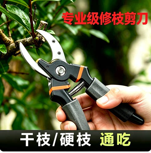 修剪树枝剪刀修枝剪果树剪枝专用园林花卉剪子花艺剪园艺剪刀