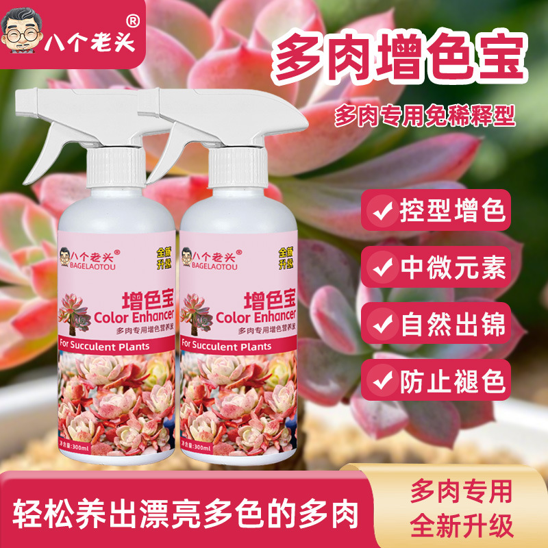 多肉增色宝肥上液体料免稀