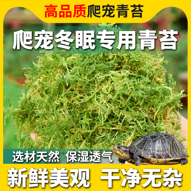 爬宠乌龟专用冬眠干苔藓