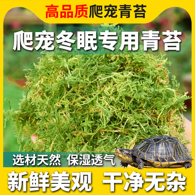 爬宠乌龟专用冬眠干苔藓